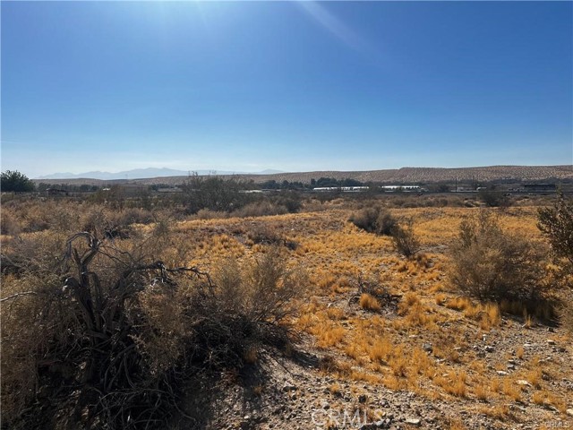 MLS #SW25164199 image #4