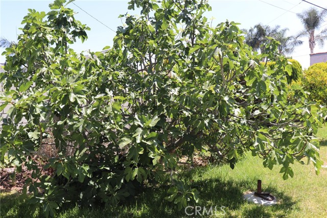 MLS #SW25165387 image #8