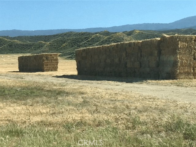 MLS #SW25165748 image #13