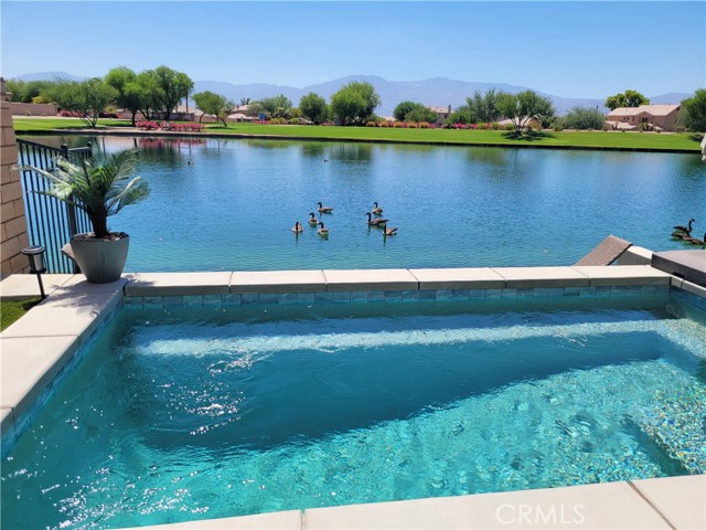 MLS #SW25166745 image #4