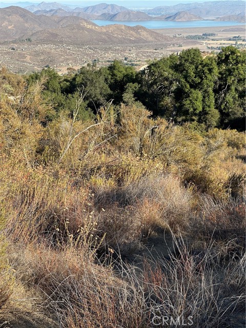 MLS #SW25167708 image #11