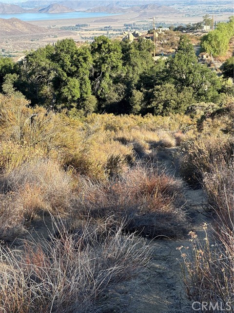 MLS #SW25167708 image #12