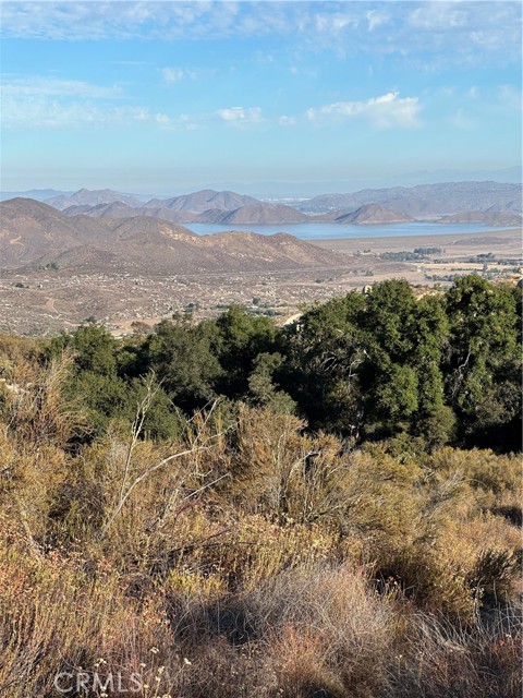 MLS #SW25167708 image #13