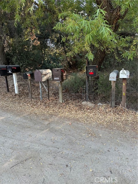MLS #SW25167708 image #4