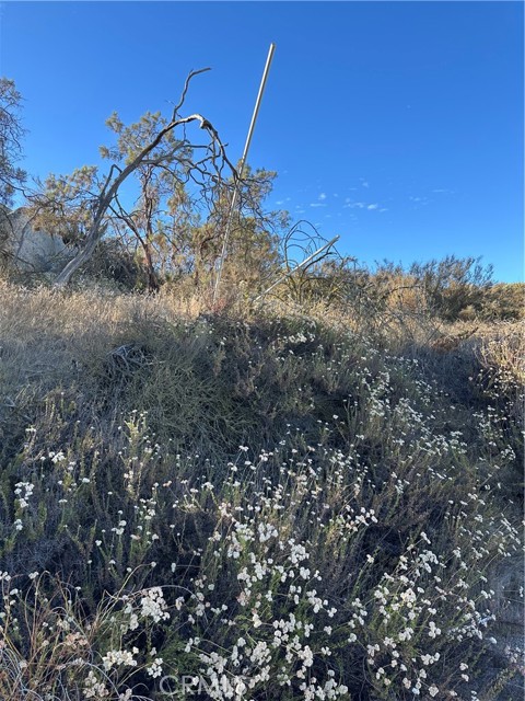 MLS #SW25167708 image #6