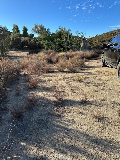 MLS #SW25167708 image #9