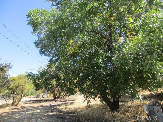 MLS #SW25168514 image #1