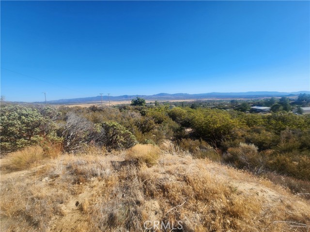 MLS #SW25168514 image #16
