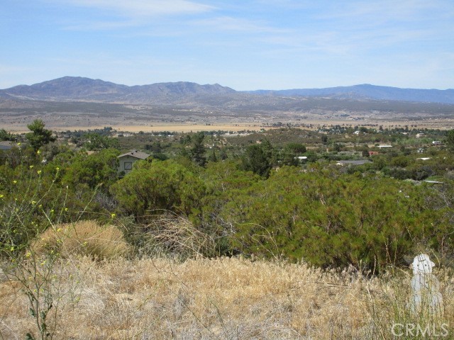 MLS #SW25168514 image #3