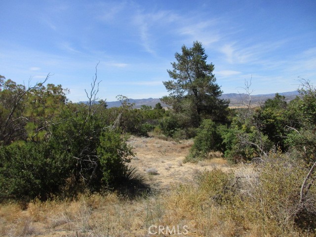 MLS #SW25168514 image #4