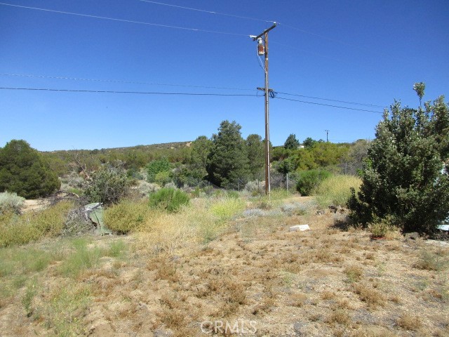 MLS #SW25168514 image #5