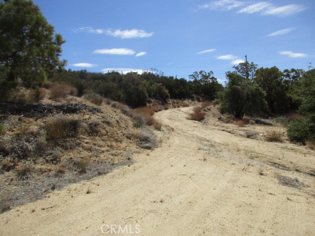 MLS #SW25168514 image #6