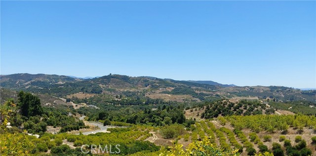 MLS #SW25168543 image #17