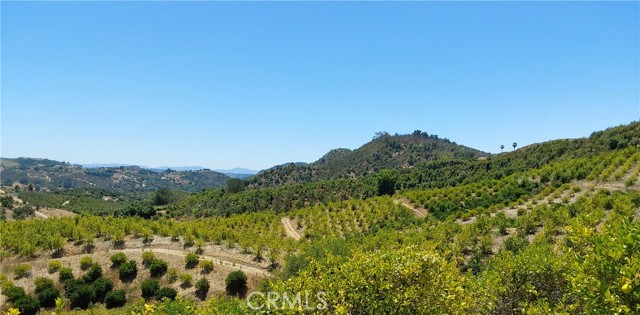 MLS #SW25168543 image #19