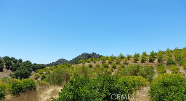 MLS #SW25168543 image #20