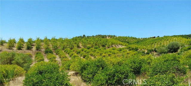 MLS #SW25168543 image #22