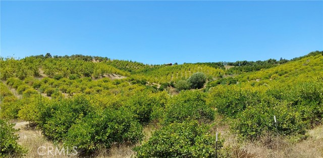 MLS #SW25168543 image #23