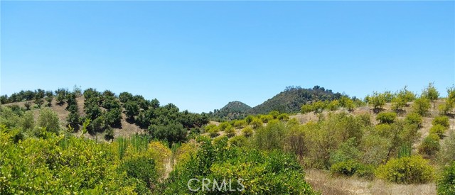 MLS #SW25168543 image #24
