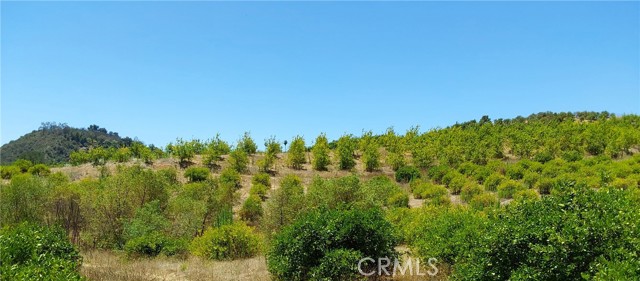 MLS #SW25168543 image #25