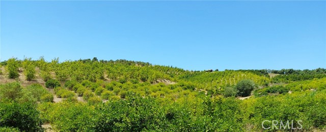 MLS #SW25168543 image #26