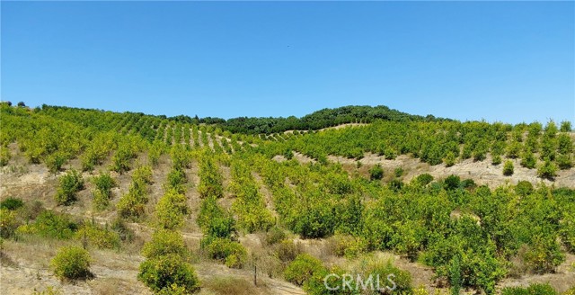 MLS #SW25168543 image #29