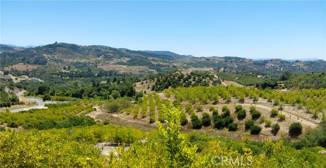 MLS #SW25168543 image #3