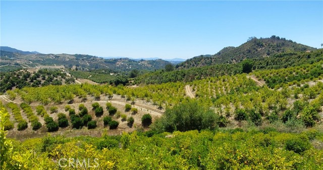 MLS #SW25168543 image #7