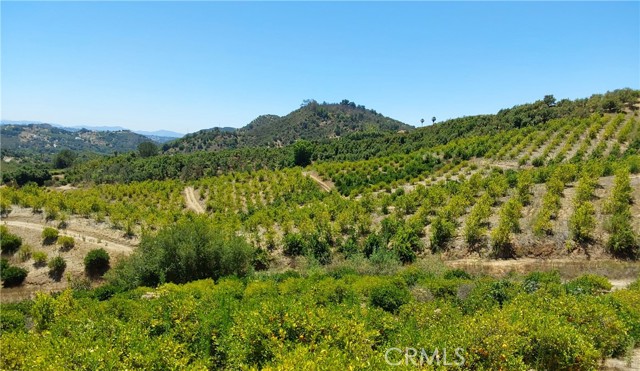 MLS #SW25168543 image #9
