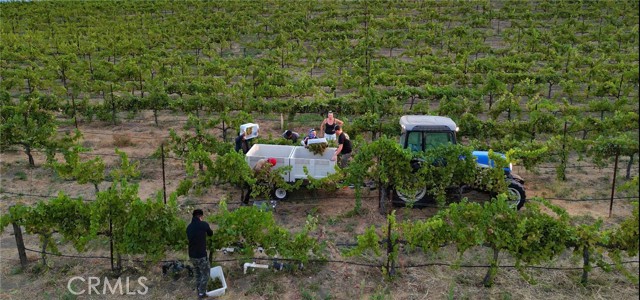 MLS #SW25168643 image #18