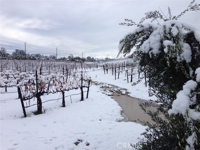 MLS #SW25168643 image #19