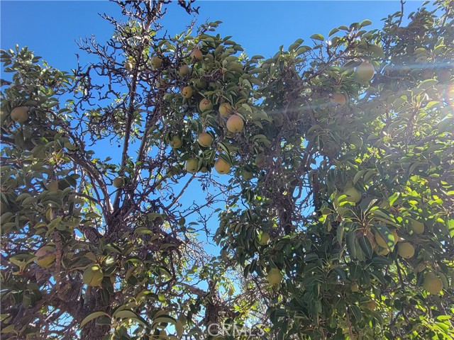 MLS #SW25169538 image #49