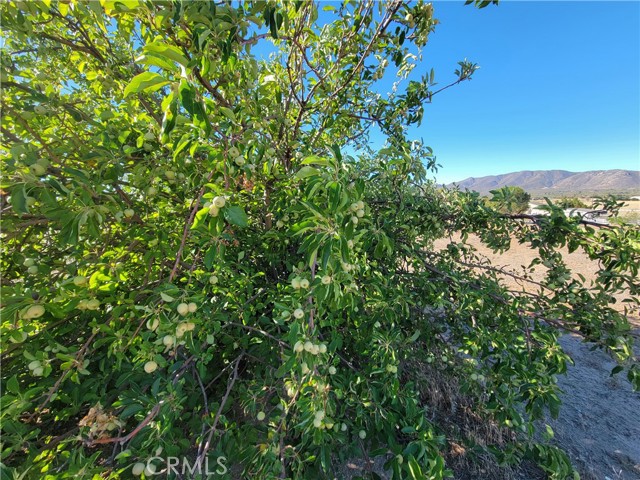 MLS #SW25169538 image #50