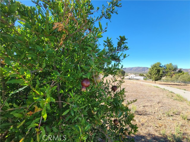 MLS #SW25169538 image #51