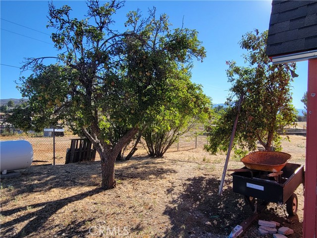 MLS #SW25169538 image #55