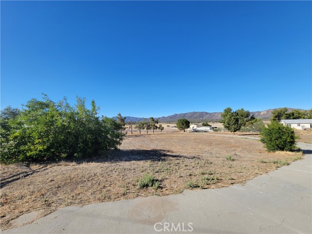 MLS #SW25169538 image #8