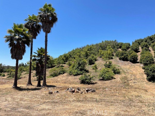 MLS #SW25169972 image #1