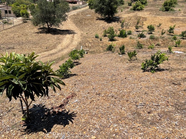 MLS #SW25169972 image #10