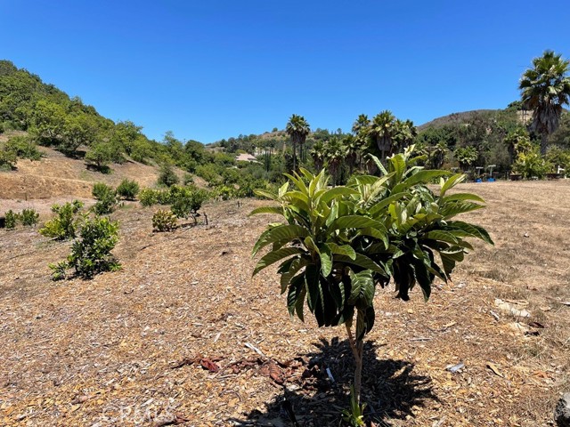 MLS #SW25169972 image #11