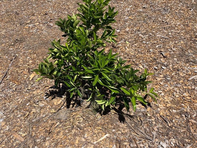 MLS #SW25169972 image #12