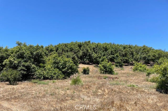 MLS #SW25169972 image #13