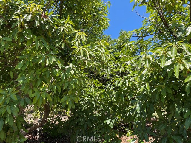 MLS #SW25169972 image #14