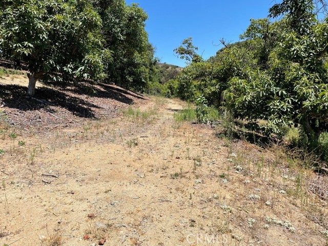 MLS #SW25169972 image #15