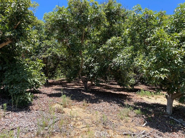 MLS #SW25169972 image #16