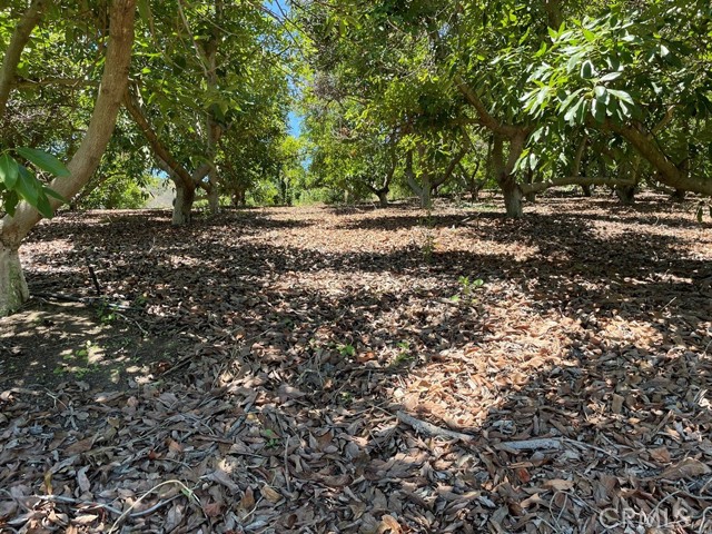 MLS #SW25169972 image #17