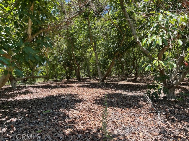 MLS #SW25169972 image #18