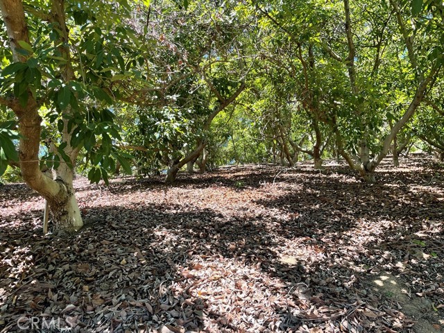 MLS #SW25169972 image #2