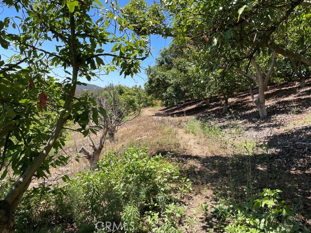 MLS #SW25169972 image #20