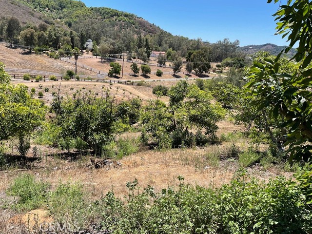 MLS #SW25169972 image #21