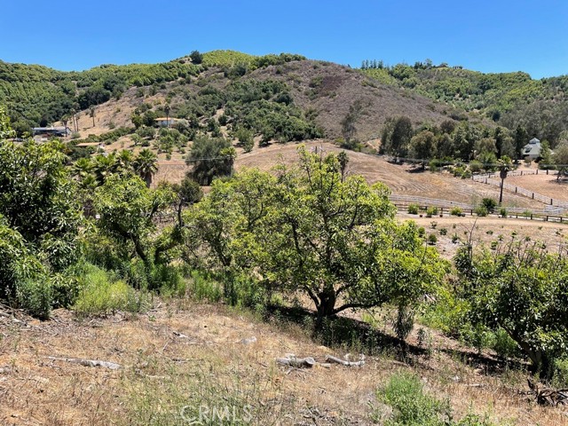 MLS #SW25169972 image #22