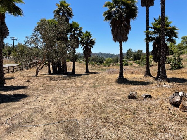 MLS #SW25169972 image #23